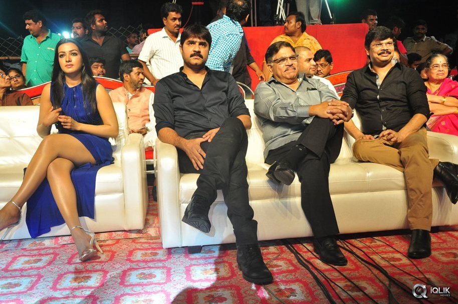 Sarrainodu-Movie-Blockbuster-Function